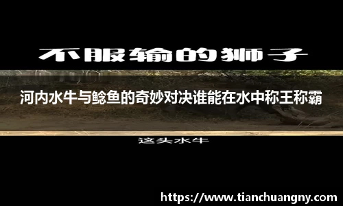 壹号娱乐官网，壹号娱乐APP