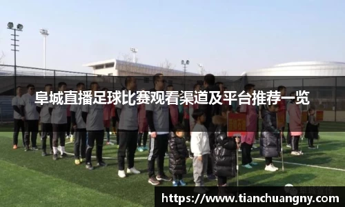 阜城直播足球比赛观看渠道及平台推荐一览