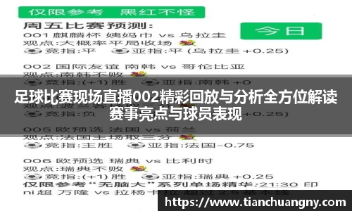 足球比赛现场直播002精彩回放与分析全方位解读赛事亮点与球员表现