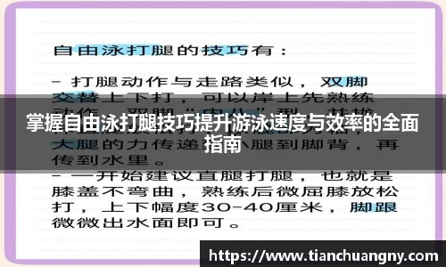 掌握自由泳打腿技巧提升游泳速度与效率的全面指南