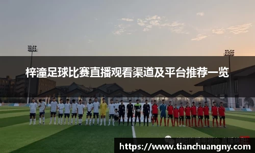 梓潼足球比赛直播观看渠道及平台推荐一览